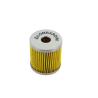 Filtro de Combustível - Lombardini