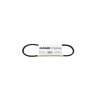 Correia 2440-162