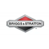 Briggs E Stratton